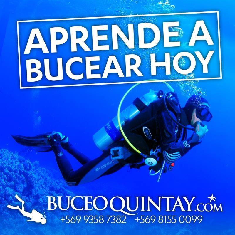 Buceo Quintay